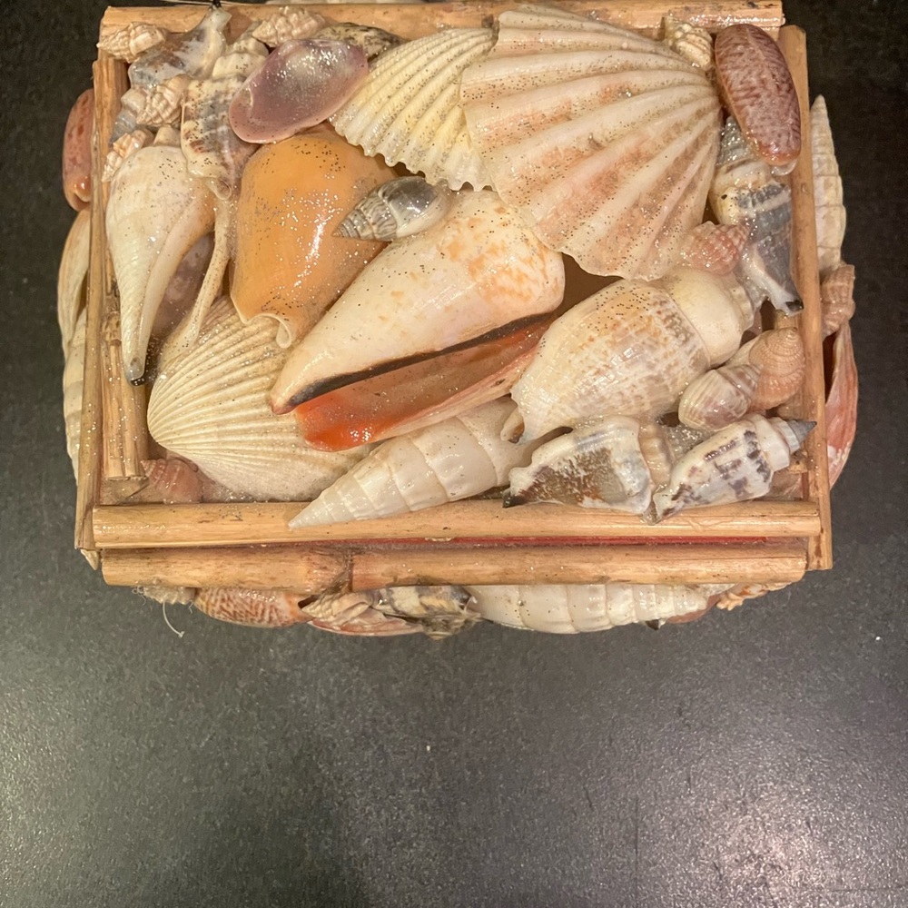 Vintage Seashell Decor Box